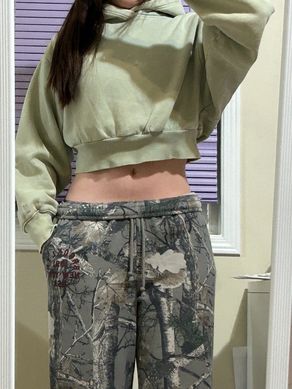 Aritzia Cropped hoodie